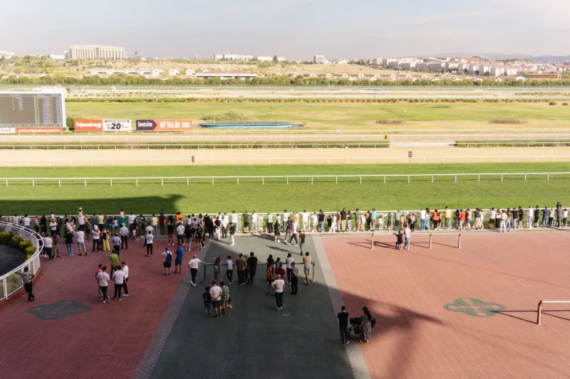 Skin in the Game: How Sports Betting Apps Rewired the Way America Watches Live Sports